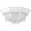 Nuvo LED Spider Cage Fixture, White Finish with Frosted Glass 62/1399